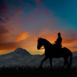 Horse Riding in the sunset in Iceland
