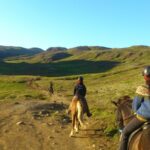 family horse riding tour in south Iceland