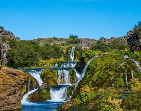 Autumn Colors in Gjáin: A picturesque autumn scene in Gjáin, where the vibrant fall foliage transforms the lush valley into a tapestry of gold, orange, and red hues. The waterfalls cascade over mossy rocks into a tranquil stream, while the volcanic cliffs provide a rugged backdrop. The colorful leaves add warmth to the otherwise dramatic landscape.