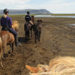 Black Beach Riding Tour in South Iceland
