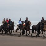 Black Beach Riding Tour in South Iceland