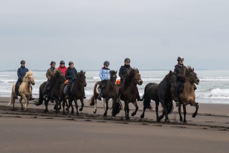 Black Beach Riding Tour in South Iceland
