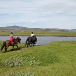 Black Beach Riding Tour in South Iceland