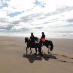 Black Beach Riding Tour in South Iceland
