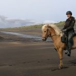 Black Beach Riding Tour in South Iceland