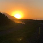 Husky Hike in Akureyri