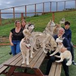 Husky Hike in Akureyri