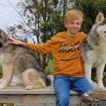 Husky Hike in Akureyri