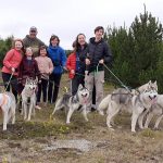 Husky Hike in Akureyri